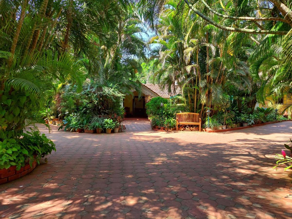 Palm Grove Cottages - Leisure Resort Benaulim Eksteriør billede